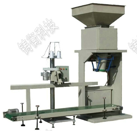 �����������b�C