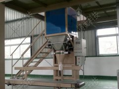 �w����������C(j��)�S��