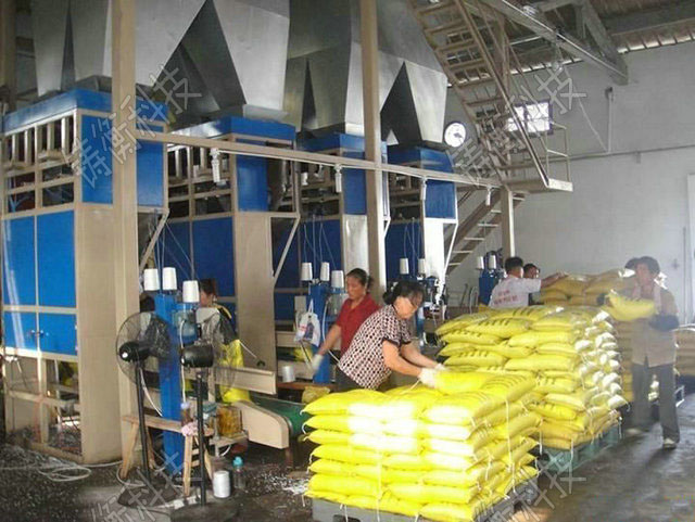 顆粒噸袋包裝秤